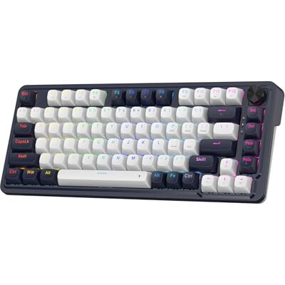 Redragon K673 HE Clavier de Jeu Rapid Trigger, 81 Touches 8K Clavier Mécanique Filaire w/Next-Gen UltraMag 100% POM Interrupteur Magnétique Soyeux, Structure Flottante à Double Module Redragon K673 HE Clavier de Jeu Rapid Trigger, 81 Touches 8K Clavier Mécanique Filaire w/Next-Gen UltraMag 100% POM Interrupteur Magnétique Soyeux, Structure Flottante à Double Module
