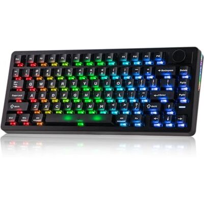 EPOMAKER HE75 V2 Clavier de jeu à effet Hall, 8 K polling et 0,1 ms, 8000 mAh et 2,4 GHz/BT, touche et bouton remplaçables à chaud, actionnement réglable de 0,005 mm, déclenchement rapide, crémeux et EPOMAKER HE75 V2 Clavier de jeu à effet Hall, 8 K polling et 0,1 ms, 8000 mAh et 2,4 GHz/BT, touche et bouton remplaçables à chaud, actionnement réglable de 0,005 mm, déclenchement rapide, crémeux et
