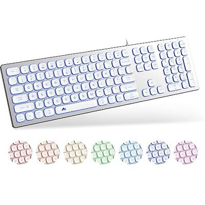 POWZAN Clavier filaire silencieux en aluminium rétroéclairé Clavier fin Chiclet compatible avec Apple iMac, MacBook, Mac et PC, clavier USB, clavier numérique, touche lumineuse RVB – Blanc argenté POWZAN Clavier filaire silencieux en aluminium rétroéclairé Clavier fin Chiclet compatible avec Apple iMac, MacBook, Mac et PC, clavier USB, clavier numérique, touche lumineuse RVB – Blanc argenté