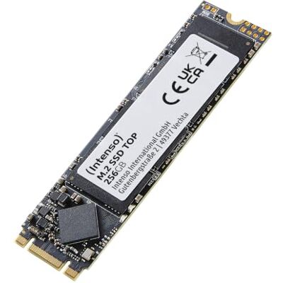 Intenso M.2 interne SSD SATA III Top 256 Go 550 Mo/s Disque dur Intenso M.2 interne SSD SATA III Top 256 Go 550 Mo/s Disque dur