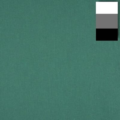Walimex Fond en Tissu Vert émeraude 2,85 x 6 m Épaisseur 140 g/m² env. Coton lavable Fond Photo Accessoire Atelier Studio Walimex Fond en Tissu Vert émeraude 2,85 x 6 m Épaisseur 140 g/m² env. Coton lavable Fond Photo Accessoire Atelier Studio