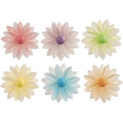 dekora – Fleurs Comestibles pour Gâteau, 15 Marguerites en Azyme, 7 cm, sans sucre, sans gluten, sans lactose, couleurs assorties, Décoration Gâteau pour Anniversaire, Mariage, Baptême, Gender Reveal dekora – Fleurs Comestibles pour Gâteau, 15 Marguerites en Azyme, 7 cm, sans sucre, sans gluten, sans lactose, couleurs assorties, Décoration Gâteau pour Anniversaire, Mariage, Baptême, Gender Reveal