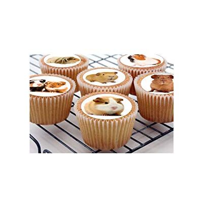 The Cake Decorators Boutique Lot de 24 décorations de fête comestibles en forme de cochons d'Inde pour enfants The Cake Decorators Boutique Lot de 24 décorations de fête comestibles en forme de cochons d'Inde pour enfants