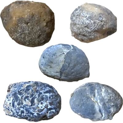 Geode 5 pièces I Agate I Fermé I Noix Brésil I Géodes porte-bonheur I Plaisir de fête Geode 5 pièces I Agate I Fermé I Noix Brésil I Géodes porte-bonheur I Plaisir de fête