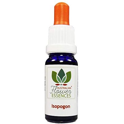 Australian Flower Essences Isopogon Essences de fleurs australiennes Remèdes d'amour Australian Flower Essences Isopogon Essences de fleurs australiennes Remèdes d'amour