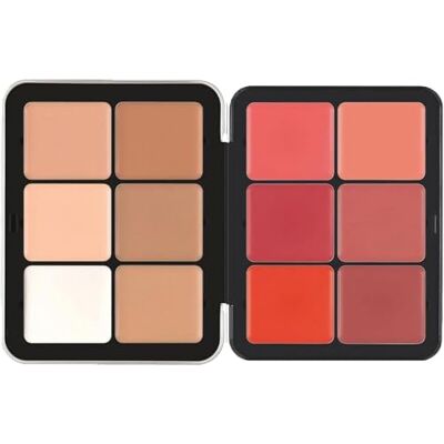 KUAINICE 16/12 Couleurs Carla Secret Concealer Palette de maquillage, crème blush palette, longue tenue Full Coverage Makeup pour une peau impeccable (2#, 12 Couleurs) KUAINICE 16/12 Couleurs Carla Secret Concealer Palette de maquillage, crème blush palette, longue tenue Full Coverage Makeup pour une peau impeccable (2#, 12 Couleurs)