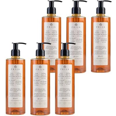 Prija Gel Douche et Shampooing 2 en 1 Vitalisant avec Extrait de Ginseng, Gel Lavant Hydratant et Énergisant pour les Cheveux et le Corps avec Pompe Doseuse 6 x 380ml Prija Gel Douche et Shampooing 2 en 1 Vitalisant avec Extrait de Ginseng, Gel Lavant Hydratant et Énergisant pour les Cheveux et le Corps avec Pompe Doseuse 6 x 380ml