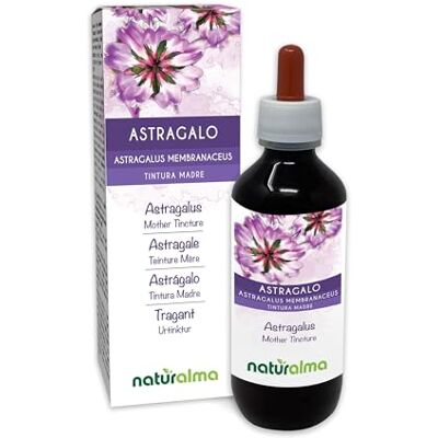 Naturalma Astragale (Astragalus membranaceus) racines Teinture Mère sans alcool Liquide en gouttes 200 ml Complément alimentaire Végétalien ou végan Naturalma Astragale (Astragalus membranaceus) racines Teinture Mère sans alcool Liquide en gouttes 200 ml Complément alimentaire Végétalien ou végan