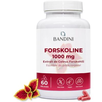 BANDINI ® Forskoline 1000mg, 60 Gélules Vegan & Keto, Coleus Forskohlii 35:1 Aide À Affiner La Silhouette, Pour Hommes et Femmes, Extrait pur sans Caféine, Keto Diet, Digestion & Équilibre du poids BANDINI ® Forskoline 1000mg, 60 Gélules Vegan & Keto, Coleus Forskohlii 35:1 Aide À Affiner La Silhouette, Pour Hommes et Femmes, Extrait pur sans Caféine, Keto Diet, Digestion & Équilibre du poids