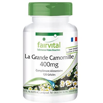 fairvital Grande camomille 400mg, 120 gélules pour 4 mois, Tanacetum parthenium, grande camomille, 100% végétalien, qualité contrôlée et hautement dosé, fabriqué en Allemagne fairvital Grande camomille 400mg, 120 gélules pour 4 mois, Tanacetum parthenium, grande camomille, 100% végétalien, qualité contrôlée et hautement dosé, fabriqué en Allemagne