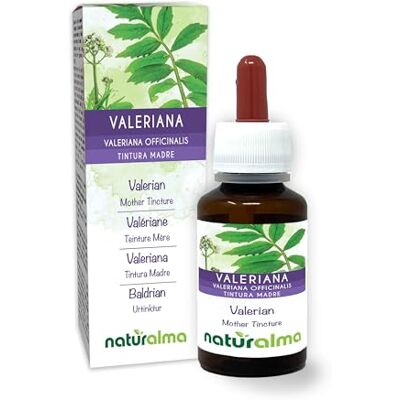Naturalma Valériane (Valeriana officinalis) racines Teinture Mère sans alcool Extrait liquide gouttes 60 ml Complément alimentaire Végétalien ou végan Naturalma Valériane (Valeriana officinalis) racines Teinture Mère sans alcool Extrait liquide gouttes 60 ml Complément alimentaire Végétalien ou végan