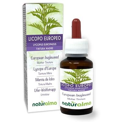 Naturalma Lycope d'Europe ou Patte de loup (Lycopus europaeus) herbe Teinture Mère sans alcool Extrait liquide gouttes 60 ml Complément alimentaire Végétalien ou végan Naturalma Lycope d'Europe ou Patte de loup (Lycopus europaeus) herbe Teinture Mère sans alcool Extrait liquide gouttes 60 ml Complément alimentaire Végétalien ou végan