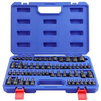 WORKPRO Jeu de 60 douilles et embouts Torx 1/4", 3/8" et 1/2", douilles femelles E-Torx E4-E24, douilles de réglage à pression T6-T70, acier allié Cr-V et S2 WORKPRO Jeu de 60 douilles et embouts Torx 1/4", 3/8" et 1/2", douilles femelles E-Torx E4-E24, douilles de réglage à pression T6-T70, acier allié Cr-V et S2