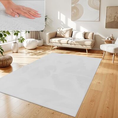 Paco Home Tapis Salon Fausses Fourrures Doux Lavable Moderne Élégant Facile À Entretenir Effet Fourrure Uni Brillant Douillet À Poils Courts, Dimension:140x200 cm, Couleur:Blanc Paco Home Tapis Salon Fausses Fourrures Doux Lavable Moderne Élégant Facile À Entretenir Effet Fourrure Uni Brillant Douillet À Poils Courts, Dimension:140x200 cm, Couleur:Blanc