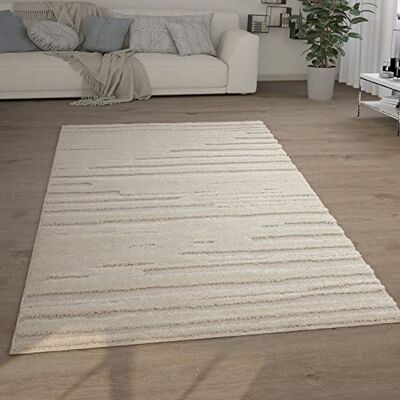 Paco Home Tapis Poils Longs Tapis De Salon Tapis Shaggy Aspect 3D Ethnique Boho Look Vintage Doux, Dimension:80x150 cm, Couleur:Crème 2 Paco Home Tapis Poils Longs Tapis De Salon Tapis Shaggy Aspect 3D Ethnique Boho Look Vintage Doux, Dimension:80x150 cm, Couleur:Crème 2