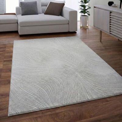 VIMODA Tapis de salon, salle à manger, à poils courts, design bohème, couleur unie, effet très profond moderne, couleur : L. Grey, dimensions : 200 x 290 cm VIMODA Tapis de salon, salle à manger, à poils courts, design bohème, couleur unie, effet très profond moderne, couleur : L. Grey, dimensions : 200 x 290 cm