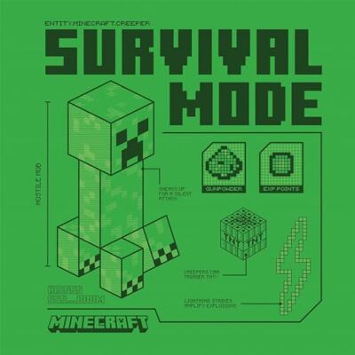 Pyramid Minecraft (Creeper) 76,2 x 76,2 cm Décoration murale pour les fans – Design emblématique de Creeper, excellent ajout aux espaces sur le thème de Minecraft Pyramid Minecraft (Creeper) 76,2 x 76,2 cm Décoration murale pour les fans – Design emblématique de Creeper, excellent ajout aux espaces sur le thème de Minecraft