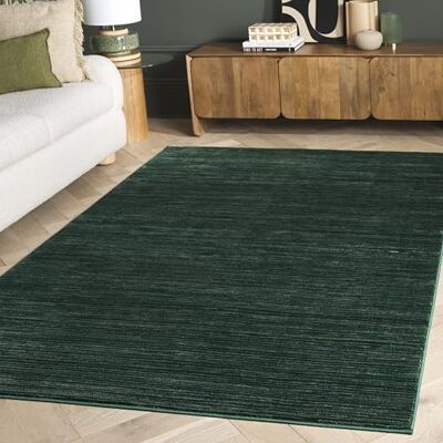 SAFAVIEH Vision Collection VSN606Y Tapis moderne ombré, chic, ne s'effiloche pas, pour salon, salle à manger, chambre à coucher, 122 x 182 cm, vert foncé SAFAVIEH Vision Collection VSN606Y Tapis moderne ombré, chic, ne s'effiloche pas, pour salon, salle à manger, chambre à coucher, 122 x 182 cm, vert foncé