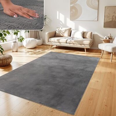 Paco Home Tapis Salon Fausses Fourrures Doux Lavable Moderne Élégant Facile À Entretenir Effet Fourrure Uni Brillant Douillet À Poils Courts, Dimension:140x200 cm, Couleur:Anthracite Paco Home Tapis Salon Fausses Fourrures Doux Lavable Moderne Élégant Facile À Entretenir Effet Fourrure Uni Brillant Douillet À Poils Courts, Dimension:140x200 cm, Couleur:Anthracite