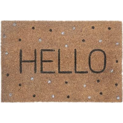 Relaxdays Paillasson en coco avec inscription Hello et points 40 x 60 cm Résistant aux intempéries Pour l'intérieur et l'extérieur Multicolore Relaxdays Paillasson en coco avec inscription Hello et points 40 x 60 cm Résistant aux intempéries Pour l'intérieur et l'extérieur Multicolore
