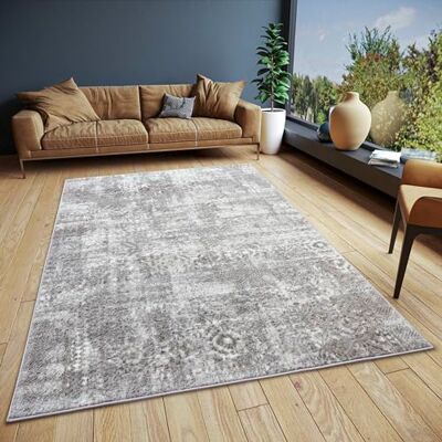 HANSE Home Style Vintage Tapis oriental à poils courts, look vintage, pour chambre à coucher, salle à manger, salon, couloir, gris beige, 57 x 90 cm HANSE Home Style Vintage Tapis oriental à poils courts, look vintage, pour chambre à coucher, salle à manger, salon, couloir, gris beige, 57 x 90 cm
