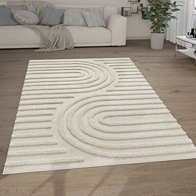 Paco Home Tapis Poils Longs Tapis De Salon Tapis Shaggy Aspect 3D Ethnique Boho Look Vintage Doux, Dimension:, Couleur:Crème 7 Paco Home Tapis Poils Longs Tapis De Salon Tapis Shaggy Aspect 3D Ethnique Boho Look Vintage Doux, Dimension:, Couleur:Crème 7
