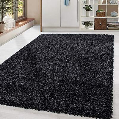 HomebyHome tapis Salon Moderne Chambre Adulte Anthracite 80x150 cm Coureur Shaggy Poil Long Unicolore Doux et Moelleux Tapis Cuisine Moquette HomebyHome tapis Salon Moderne Chambre Adulte Anthracite 80x150 cm Coureur Shaggy Poil Long Unicolore Doux et Moelleux Tapis Cuisine Moquette