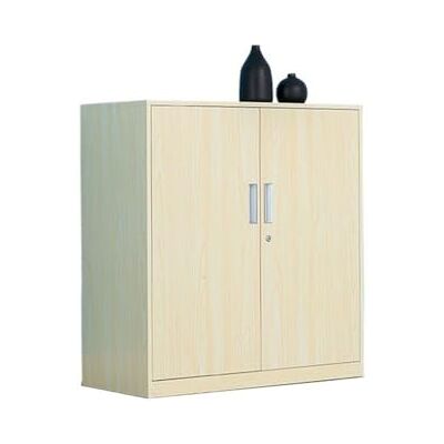 YHxFlux Armoire de bureau Classeur de bureau avec serrure, armoire rangement d'informations, en fer 1mm d'épaisseur, d'outils balcon à domicile Rangement(Beige) YHxFlux Armoire de bureau Classeur de bureau avec serrure, armoire rangement d'informations, en fer 1mm d'épaisseur, d'outils balcon à domicile Rangement(Beige)