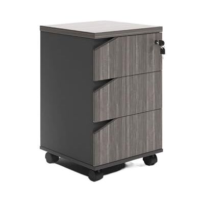 Hhmmei2024-23 Armoire de bureau Armoire de classement en bois sous le bureau, armoire rangement, données, buffet avec tiroir verrouillable, courte Classeur(Brown) Hhmmei2024-23 Armoire de bureau Armoire de classement en bois sous le bureau, armoire rangement, données, buffet avec tiroir verrouillable, courte Classeur(Brown)