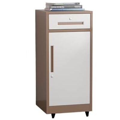 GEK208130 Tiroir Classeur à tiroirs en acier, armoire de rangement multifonctionnelle de bureau sous le bureau avec armoire verrouillable Bureau(Brown) GEK208130 Tiroir Classeur à tiroirs en acier, armoire de rangement multifonctionnelle de bureau sous le bureau avec armoire verrouillable Bureau(Brown)