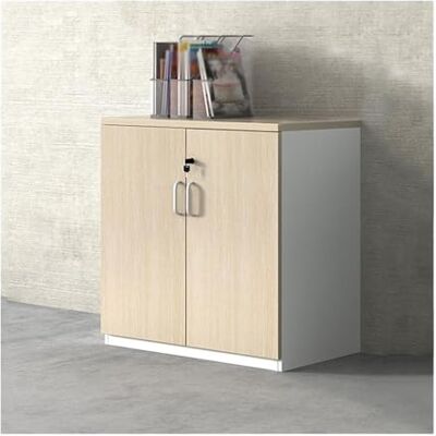 YHxFlux Armoire de bureau Classeur en bois à Double porte, armoire de rangement, organisateur données, d'imprimante, 80cm, classeur bureau verrouillable Rangement YHxFlux Armoire de bureau Classeur en bois à Double porte, armoire de rangement, organisateur données, d'imprimante, 80cm, classeur bureau verrouillable Rangement