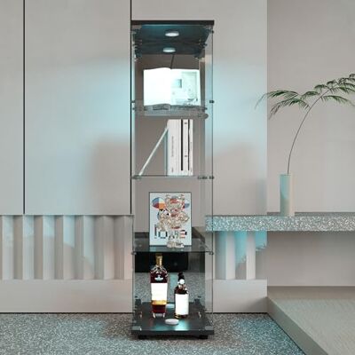 QMTXBYJ Vitrine en Verre avec LED, Armoire de Collection Moderne en Verre à Quatre Couches avec 1 Portes et Serrure, 5mm Verre trempé Transparent Armoir de Verre Debout pour Salon, Chambre QMTXBYJ Vitrine en Verre avec LED, Armoire de Collection Moderne en Verre à Quatre Couches avec 1 Portes et Serrure, 5mm Verre trempé Transparent Armoir de Verre Debout pour Salon, Chambre