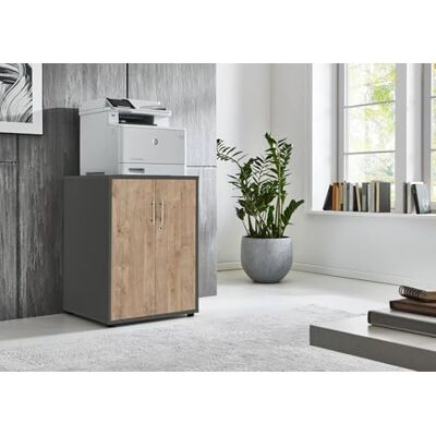 BMG Möbel Armoire de bureau pour imprimante, 74 cm de haut, avec 2 portes, 3 étagères, idéale comme extension pour bureaux au choix, en 18 combinaisons de couleurs différentes (anthracite/doré Harbor BMG Möbel Armoire de bureau pour imprimante, 74 cm de haut, avec 2 portes, 3 étagères, idéale comme extension pour bureaux au choix, en 18 combinaisons de couleurs différentes (anthracite/doré Harbor