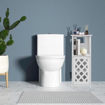 LANTUS Meuble de Rangement pour Toilettes, Placard, Étagère Réglable, Pieds Résistant à l’Eau, Petits Espaces, petite armoire de salle de bain pour salle de bain, salon,24 * 22 * 56cm-Blanc LANTUS Meuble de Rangement pour Toilettes, Placard, Étagère Réglable, Pieds Résistant à l’Eau, Petits Espaces, petite armoire de salle de bain pour salle de bain, salon,24 * 22 * 56cm-Blanc