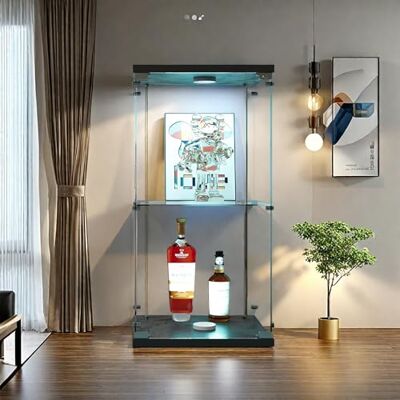 FEEOHOME Vitrine en Verre, vitrine de Collection avec LED, Vitrine trempé Moderne en Verre 2 Couches avec serrures, Transparent vitrines sur Pied pour Salon, Chambre à Coucher, 40x36x86cm (Noir) FEEOHOME Vitrine en Verre, vitrine de Collection avec LED, Vitrine trempé Moderne en Verre 2 Couches avec serrures, Transparent vitrines sur Pied pour Salon, Chambre à Coucher, 40x36x86cm (Noir)
