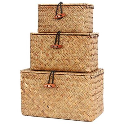 FEILANDUO Lot de 3 Petites boîtes tissées à la Main en jonc de mer avec Couvercle pour Bureau et Maquillage Boîte Multifonction (Naturel, (Small) S/M/L) FEILANDUO Lot de 3 Petites boîtes tissées à la Main en jonc de mer avec Couvercle pour Bureau et Maquillage Boîte Multifonction (Naturel, (Small) S/M/L)