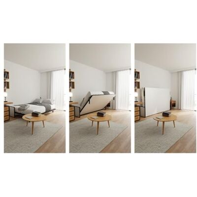 Wallbedking Lit escamotable Morphy Studio – Système Multifonction modulaire SizeFlex & TypeFlex, lit escamotable Gain de Place et Extensible avec modules canapé (140x190 cm, Horizontal) Wallbedking Lit escamotable Morphy Studio – Système Multifonction modulaire SizeFlex & TypeFlex, lit escamotable Gain de Place et Extensible avec modules canapé (140x190 cm, Horizontal)