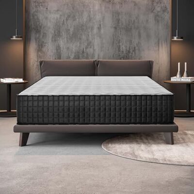 naturalex Titanium Matelas 140x200 Noyau Hybride Épais 30 cm Noyau Mousse + Ressorts Ensachés Indépendants Accueil Blue Latex Soutien Mi-Ferme Couchage Indépendant Réversible naturalex Titanium Matelas 140x200 Noyau Hybride Épais 30 cm Noyau Mousse + Ressorts Ensachés Indépendants Accueil Blue Latex Soutien Mi-Ferme Couchage Indépendant Réversible