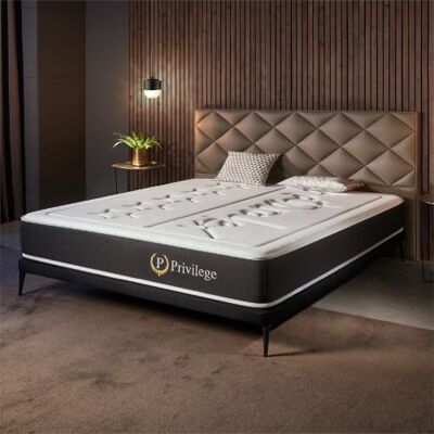 naturalex Privilege Matelas 140x200 Noyau Hybride Supérieur 26 cm Ressorts ensachés indép. + Mousse HR Premium, Multicouche, Soutien moyen, Accueil tonique, Indép. de couchage, Fabriqué UE naturalex Privilege Matelas 140x200 Noyau Hybride Supérieur 26 cm Ressorts ensachés indép. + Mousse HR Premium, Multicouche, Soutien moyen, Accueil tonique, Indép. de couchage, Fabriqué UE