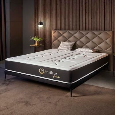 naturalex Privilege Matelas 140x190 Mémoire de Forme Supérieure 26 cm naturalex Privilege Matelas 140x190 Mémoire de Forme Supérieure 26 cm