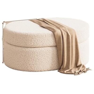 FJOADNVM Tabouret ottoman multifonctionnel pour changer de chaussures, confortable agneau cachemire, banc de couloir, rangement créatif, meubles de maison (blanc, 60 x 40 x 30 cm) FJOADNVM Tabouret ottoman multifonctionnel pour changer de chaussures, confortable agneau cachemire, banc de couloir, rangement créatif, meubles de maison (blanc, 60 x 40 x 30 cm)