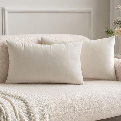 MIULEE Lot de 2 Housses de Coussins en Velours Décoratif Canapé Taie d'oreiller Super Lisse Doux Decoration Maison Salon Chambre pour Canapé 2 Pièces 30X50CM Beige MIULEE Lot de 2 Housses de Coussins en Velours Décoratif Canapé Taie d'oreiller Super Lisse Doux Decoration Maison Salon Chambre pour Canapé 2 Pièces 30X50CM Beige