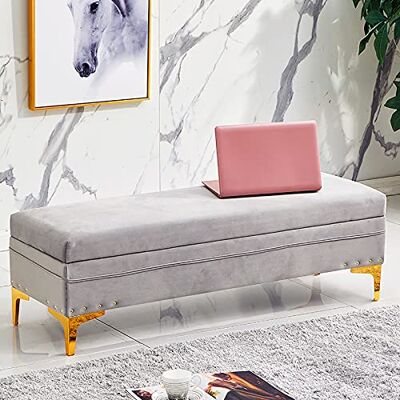Widppsopt Banc ottoman de rangement luxueux, repose-pieds rembourré en velours, banc de lit avec rangement, banc moderne pour salon, entrée, tabouret à langer, gris clair, 100 x 40 x 40 cm (39 x 16 Widppsopt Banc ottoman de rangement luxueux, repose-pieds rembourré en velours, banc de lit avec rangement, banc moderne pour salon, entrée, tabouret à langer, gris clair, 100 x 40 x 40 cm (39 x 16