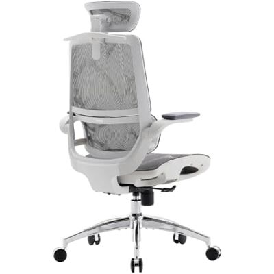 SIHOO M59AS Chaise de bureau ergonomique avec accoudoirs rabattables 3D, design double dossier et soutien lombaire dynamique adaptatif, chaise de bureau en maille pour à domicile (gris) SIHOO M59AS Chaise de bureau ergonomique avec accoudoirs rabattables 3D, design double dossier et soutien lombaire dynamique adaptatif, chaise de bureau en maille pour à domicile (gris)