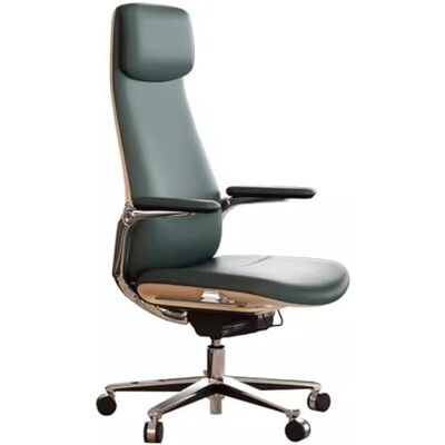 YHxFlux Chaise de bureau à dossier haut en cuir pour adulte, chaise de bureau avec accoudoirs rembourrés, pivotants, réglables et ergonomiques (vert) YHxFlux Chaise de bureau à dossier haut en cuir pour adulte, chaise de bureau avec accoudoirs rembourrés, pivotants, réglables et ergonomiques (vert)