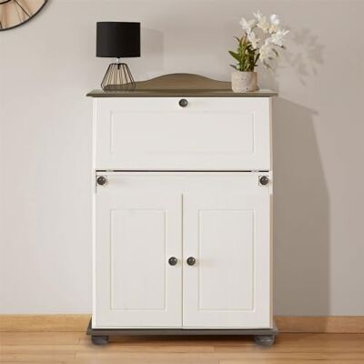 IDIMEX Bureau secrétaire David avec abattant Rangement Plusieurs étagères 2 Portes et Plan de Travail Rabattable, en pin Massif lasuré Taupe et Blanc IDIMEX Bureau secrétaire David avec abattant Rangement Plusieurs étagères 2 Portes et Plan de Travail Rabattable, en pin Massif lasuré Taupe et Blanc