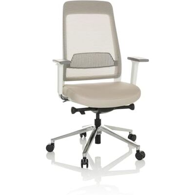 hjh OFFICE 790023 CHIARO T2 Chaise de bureau professionnelle pivotante en tissu Gris/beige Hauteur d'assise et profondeur d'assise réglables Dos en maille Gris/beige hjh OFFICE 790023 CHIARO T2 Chaise de bureau professionnelle pivotante en tissu Gris/beige Hauteur d'assise et profondeur d'assise réglables Dos en maille Gris/beige