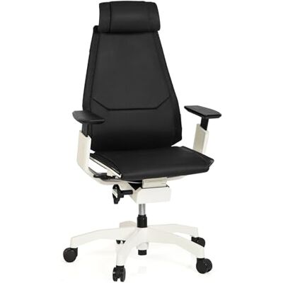 hjh OFFICE 652863 Genidia Pro Chaise de bureau professionnelle en cuir Noir/blanc Fauteuil de bureau réglable individuellement Ergonomique hjh OFFICE 652863 Genidia Pro Chaise de bureau professionnelle en cuir Noir/blanc Fauteuil de bureau réglable individuellement Ergonomique