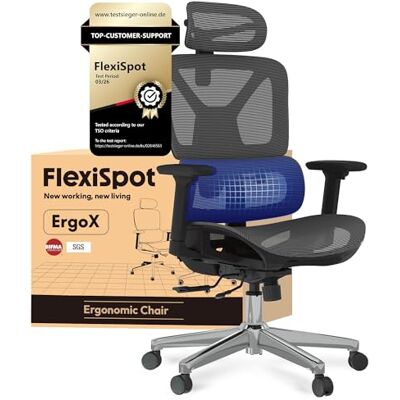 FLEXISPOT ErgoX Chaise de bureau ergonomique Accoudoirs 3D Appuie-tête 3D Dossier réglable 5D Siège respirant Charge maximale : 130 kg ErgoX Gris foncé FLEXISPOT ErgoX Chaise de bureau ergonomique Accoudoirs 3D Appuie-tête 3D Dossier réglable 5D Siège respirant Charge maximale : 130 kg ErgoX Gris foncé