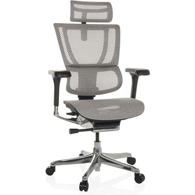 hjh OFFICE ERGOHUMAN Slim Chaise de bureau ergonomique I Design original Chaise pivotante avec support lombaire flexible, Gen 2, filet gris clair hjh OFFICE ERGOHUMAN Slim Chaise de bureau ergonomique I Design original Chaise pivotante avec support lombaire flexible, Gen 2, filet gris clair